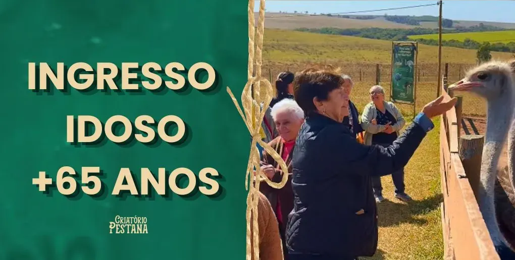 INGRESSO IDOSO - COM ALMOÇO