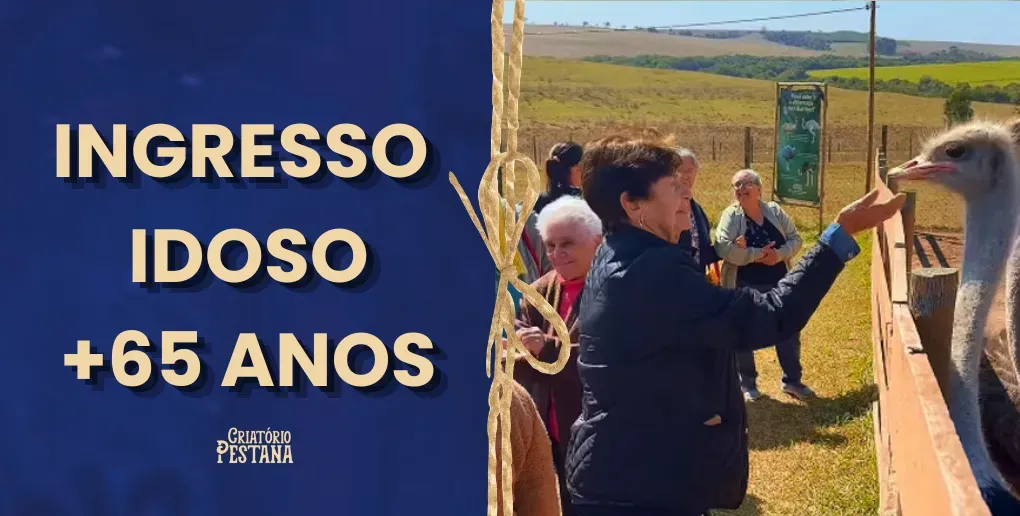INGRESSO IDOSO - COM CAFÉ DA MANHÃ